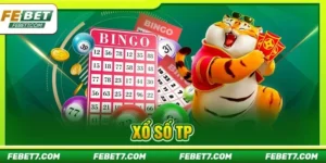 Xổ Số TP: Soi Cầu Thả Ga, Cược Số Với Kết Quả Cập Nhật 24/7