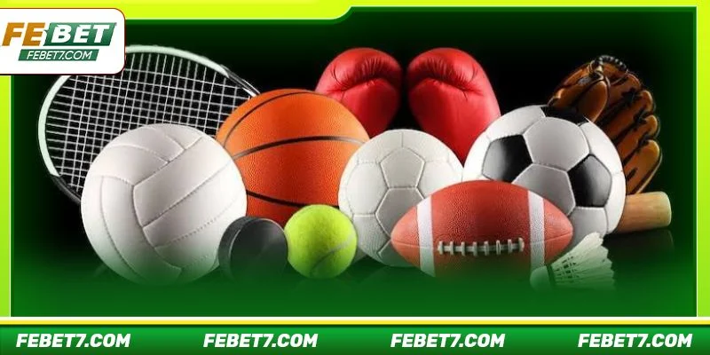 Có rất nhiều bộ môn cược thể thao thú vị tại sảnh chơi của FEBET